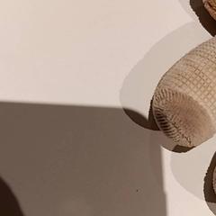 Knuffel, como reportado por De Efteling utilizando o iLost