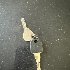 Sleutels, como reportado ao iLost