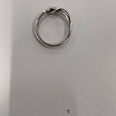 Ring Zilverkleurige, as reported by Heidelberglaan 15 using iLost