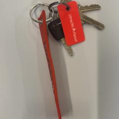 Klucze, zgłoszono przez Heidelberglaan 15 przy użyciu iLost