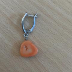 Ohrring, gemeldet von Schönbrunn "Group Center" über iLost