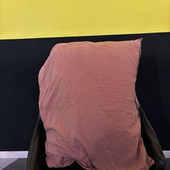 Polštář & Polštář red, jak nahlášeno Room Mate Bruno pomocí iLost