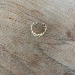 Squillo, come riportato da EBS OV Poeldijk utilizzando iLost