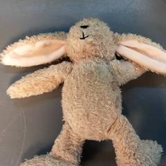 Knuffel, as reported by Diergaarde Blijdorp using iLost