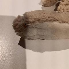 Knuffel, as reported by De Efteling using iLost