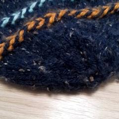 Beanie, as reported by Qbuzz Fryslân using iLost