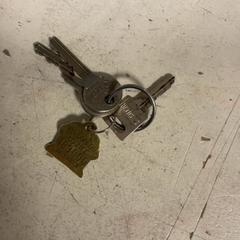 Llave El dorado county sleutelhanger, ha sido reportado por Artis con iLost
