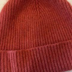 Beanie, gemeldet von GVB über iLost