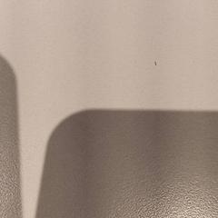 Peluche, come riportato da De Efteling utilizzando iLost