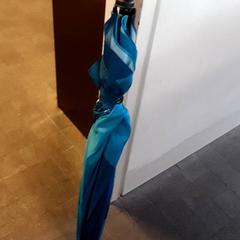 Umbrella, as reported by EBS Tramplein using iLost