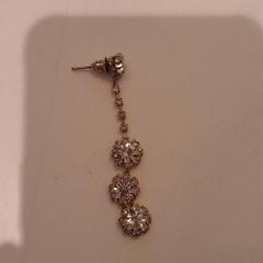 Náušnice, jak nahlášeno Van der Valk Hotel Tiel pomocí iLost