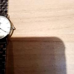 Náramkové hodinky Zilver, ako bolo nahlásené Beekse Bergen Resorts en Hotel pomocou iLost