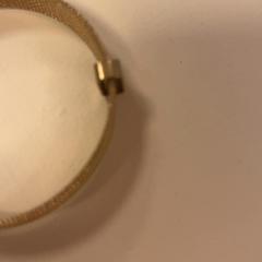 Pulseira, como reportado por De Tovertuin utilizando o iLost