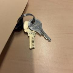 İLost kullanarak RET tarafından bildirildiği gibi Anahtarlar