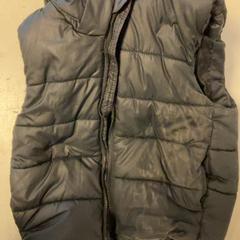 Testmelegítő Zwart, amint azt Artis az iLost segítségével jelentette.