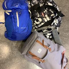 Rugtas, amint azt Gemeente Amsterdam az iLost segítségével jelentette.