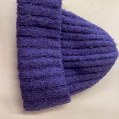 Beanie, gemeldet von GVB über iLost