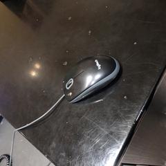Muis met draad, as reported by Van der Valk Hotel Veenendaal using iLost