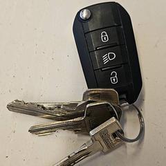 Autoaren giltza, gisa salatu by HTM iLost erabiliz