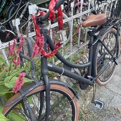 Fiets, iLost-i jakinarazi zaion moduan