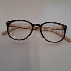 Lentes, segundo informou RRReis Trein Amersfoort / Ede-Wageningen usando iLost