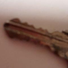 Sleutel métal, zoals gemeld door TCL met iLost