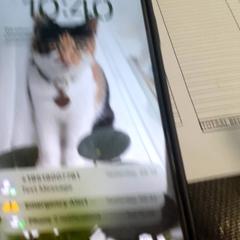 Iphone, gisa salatu by Qbuzz servicepunt  Emmen iLost erabiliz