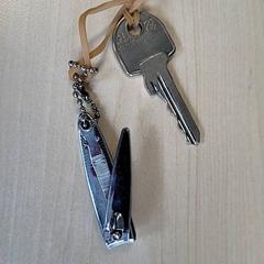 열쇠 & 손톱 깎기, iLost를 사용하여 Connexxion Haarlem IJmond에 보고됨