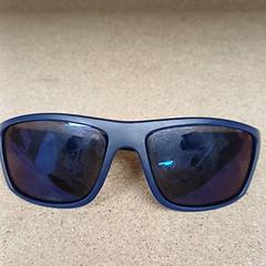 Gafas de sol, ha sido reportado por Qbuzz GD Groningen Peizerweg con iLost