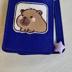 Pashouder Beloeuvre, segons ha informat Connexxion Haarlem IJmond mitjançant iLost