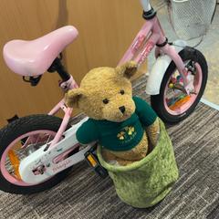 Fiets amigo & Knuffel Roze met wit, rapporterat av Gemeente Gooise Meren med iLost