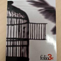 Llibre, segons ha informat IKEA Paris - Italie Deux mitjançant iLost