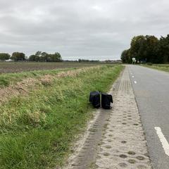 Zwarte fietstas,Newlooxs, gloednieuw, iLost에 보고됨