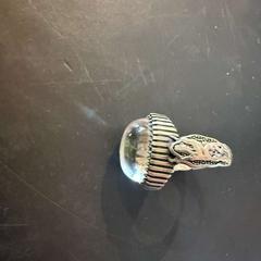 Bague, a été signalé par Conscious Hotel Westerpark utilisant iLost