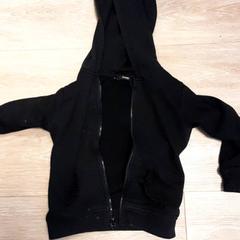 Vest kind, segundo informou Diergaarde Blijdorp usando iLost