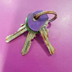 Sleutelbos, ha sido reportado por Zwarte Cross (Gemeentehuis) con iLost