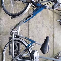 Dámské kolo Giant, jak nahlášeno Stadswerk072 pomocí iLost