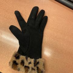 Handschoen, zoals gemeld door Pathé Eindhoven met iLost