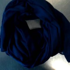 Shawl Blauw, as reported by Burgers' Zoo using iLost