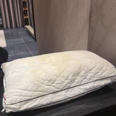 Coxín, segundo informou Van der Valk Hotel Utrecht usando iLost