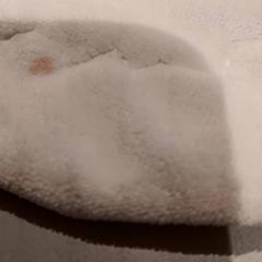 아기담요, iLost를 사용하여 De Efteling에 보고됨