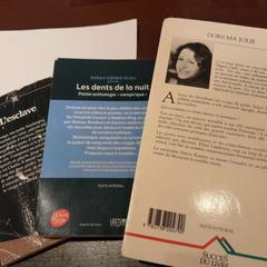 Llibres divers, segons ha informat TCL mitjançant iLost