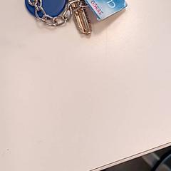 Claus, segons ha informat U-OV Amersfoort mitjançant iLost