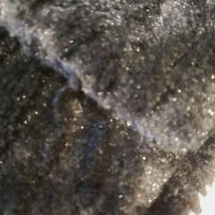 Chal noire, ha sido reportado por TCL con iLost