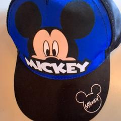Mütze Blauw met mikeydisney, gemeldet von Familiepark Drievliet über iLost