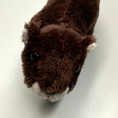 Knuffel Otter, zoals gemeld door Burgers' Zoo met iLost