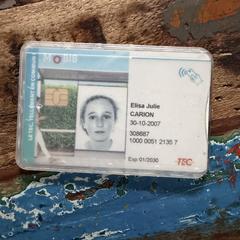 Transportation pass in paper bag The Sting, as reported to iLost