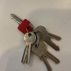 Sleutels, gemeldet von Gemeente Amsterdam - Bureau Gevonden Voorwerpen über iLost