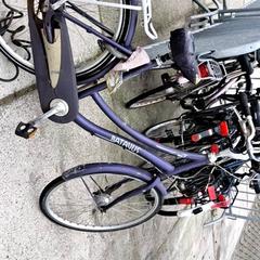 Bicicleta de senhora batavus Paars, como reportado por Stadswerk072 utilizando o iLost