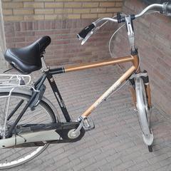 Fiets, ha sido reportado a iLost